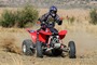 Picture of A ARM GUARDS FRONT TRX400