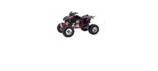 Picture for category Honda TRX450