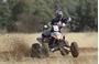 Picture of A Arm Guards KTM