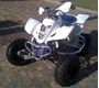 Picture of A ARM GUARDS LTZ400