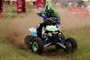 Picture of A Arm Guards LTR450