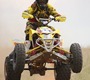 Picture of A Arm Guards LTR450