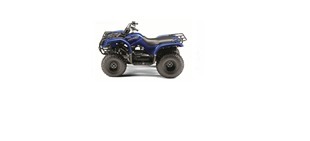 Picture for category YAMAHA GRIZZLY 125