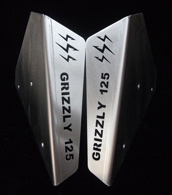 Picture of A ARM GUARDS GRIZZLY 125