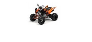 Picture for category Yamaha Raptor 250