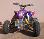 Picture of IRON CROSS BUMPER