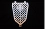 Picture of Radiator Grill Raptor 700