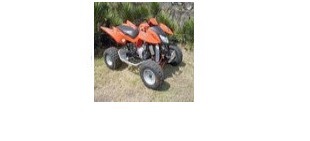 Picture for category BSI Streak Quads