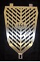 Picture of Radiator Grill Raptor 700