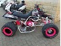 Picture of Pro Nerf Bar for Quads 