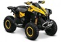 Picture of Arrowhead Starter - Can Am Renegade