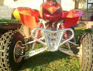 Picture of A ARM GUARDS FRONT TRX400