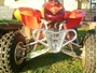 Picture of A ARM GUARDS FRONT TRX400