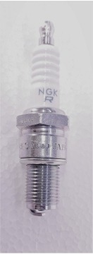 Picture of NGK SPARK PLUG