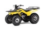 Picture of Quadrunner LT160