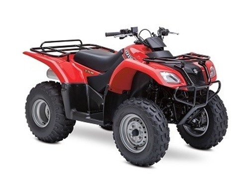 Picture of Suzuki Ozark LTF 250