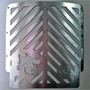 Picture of Radiator Grill Banshee