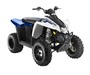 Picture of Polaris Starter