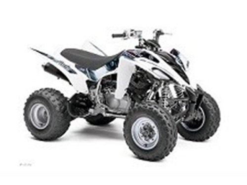 Picture of Arrowhead Starter - Raptor 350