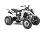 Picture of Arrowhead Starter - Raptor 350