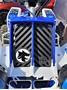Picture of Radiator Grill Banshee