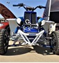 Picture of Radiator Grill Banshee
