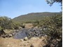 Picture of WAKKERSTROOM 