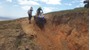Picture of DRAKENSBERG - KZN