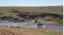 Picture of DRAKENSBERG - KZN