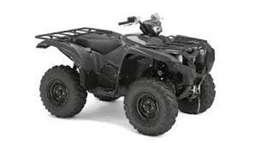 Picture of Grizzly 700 Starter