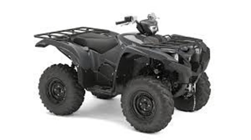 Picture of Grizzly 700 Starter