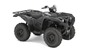 Picture of Grizzly 700 Starter