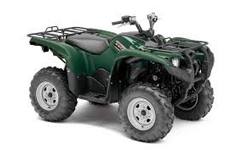 Picture of Grizzly 550  Starter