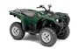 Picture of Grizzly 550  Starter