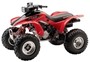 Picture of Arrowhead Starter - TRX 300
