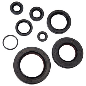 Picture of Tusk ATV Engine Oil Seals