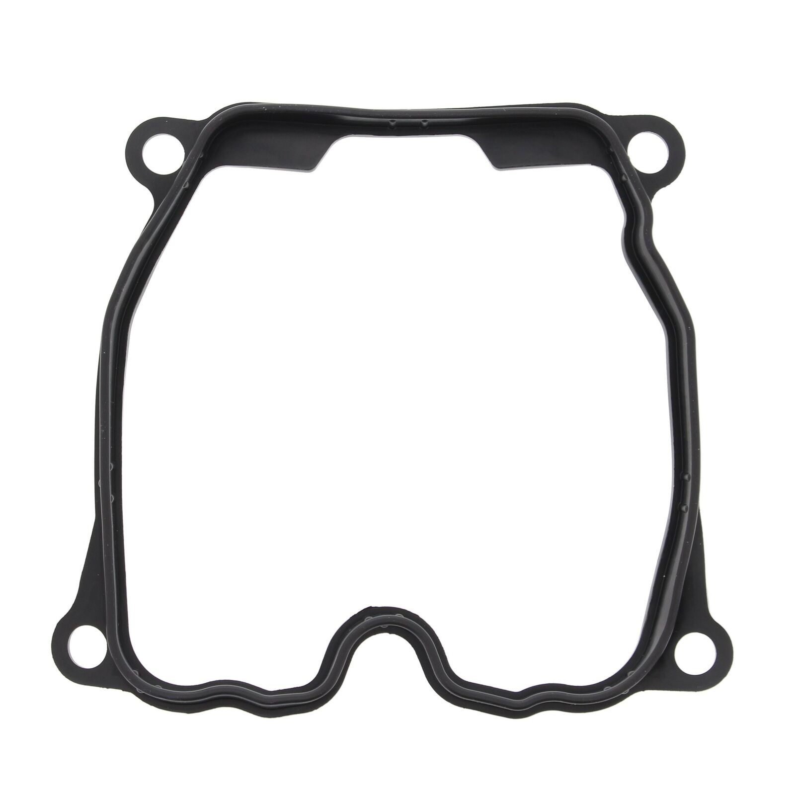 SSS Racing. CanAm Gasket valve cover