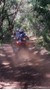 Picture of Piesangkloof - Magaliesberg