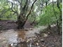 Picture of Piesangkloof - Magaliesberg