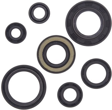 Picture of OIL SEAL KIT - VERTEX