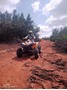 Picture of RibbokKloof