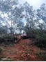 Picture of RibbokKloof