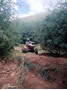 Picture of RibbokKloof