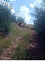 Picture of RibbokKloof