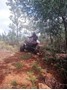 Picture of RibbokKloof