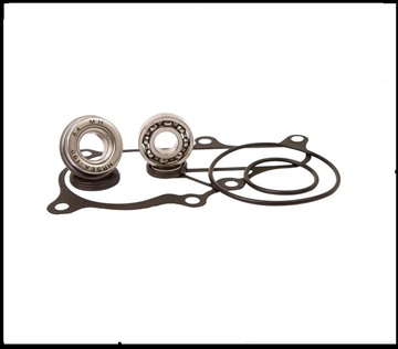 Picture of Raptor 700 Water Pump repair kit
