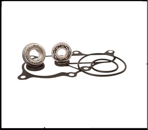 Picture of Raptor 700 Water Pump repair kit