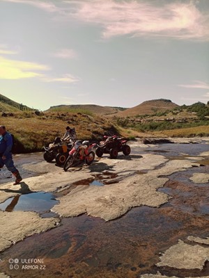 Picture of QWANTINI - HARRISMITH
