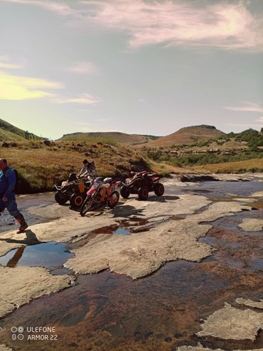 Picture of QWANTINI - HARRISMITH