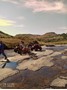 Picture of QWANTINI - HARRISMITH